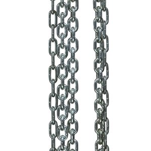 1 T Premium Chain Hoist 10 ft lift with overload protection