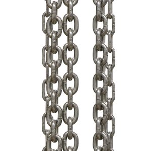 .5 T Stainless Steel Chain Hoist 10 ft lift